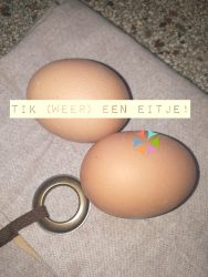 Tik (weer) een eitje