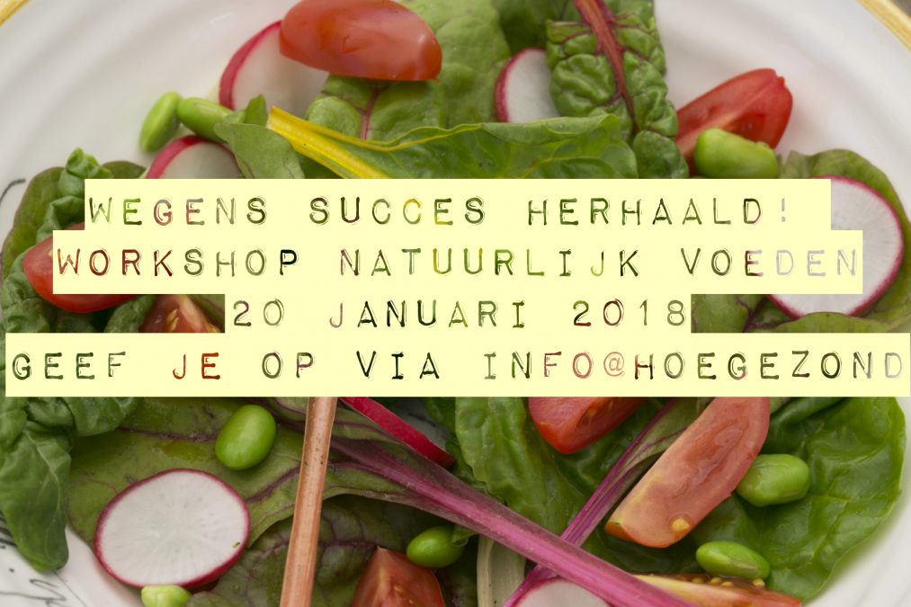 workshop ‘Natuurlijk Voeden’