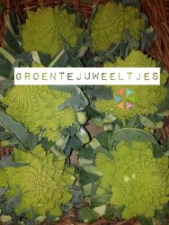 Groentejuweeltjes